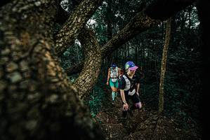 BIB: 
                            <button type="button" onclick="openModal(25693988)" class="btn btn-primary btn-sm float-right btn-popup" data-toggle="modal" data-target=".modal-high-quality">
                        <i class="fas fa-shopping-cart"></i> Add to Cart
                    </button>
                                            <button type="button" onclick="isThisMe(25693988, true)" class="btn btn-success btn-sm float-right btn-popup btn-isme hidden" data-toggle="tooltip" data-placement="bottom" title="นี่คือรูปของคุณใช่ไหม คลิกที่นี่เพื่อเอาเข้าอัลบั้ม">
                        <i class="fas fa-plus"></i> Add to album
                    </button>
                    <button type="button" onclick="isThisMe(25693988, false)" class="btn btn-warning btn-sm float-right btn-popup btn-isnotme hidden">
                        <i class="fas fa-ban"></i> Remove from album
                    </button>